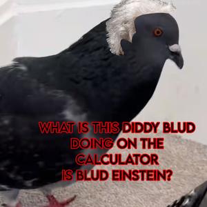 WHAT IS THIS DIDDY BLUD DOING ON THE CALCULATOR IS BLUD EINSTEIN? (feat. MajorKooper & DJ Melly Meta)