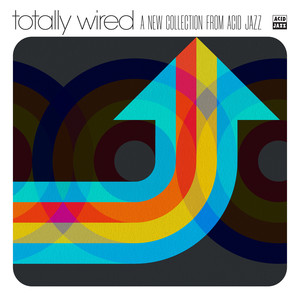 Tambores Da Vida (Drums Of Life)