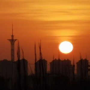 Sunshine In The Rain