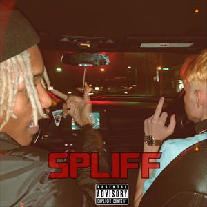 SPLIFF (feat. Kash Katrell) [Explicit]