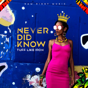 Never Did Know (feat. Tuff Like Iron) (Tandaro Mix)