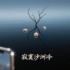 寂寞沙洲冷 (温柔版)