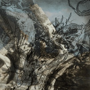 Operator of division