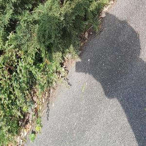 I'm waiting (Explicit)