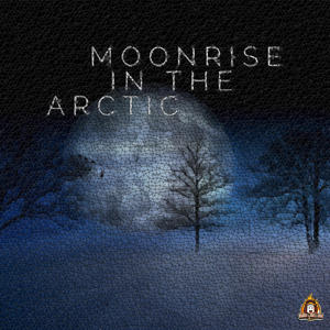 Moonrise in the Arctic (feat. David Downing & Eric Tang)