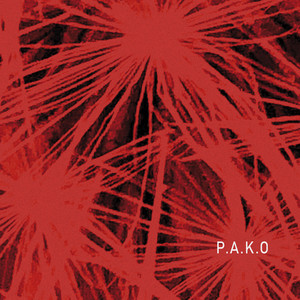 P.A.K.O (Explicit)