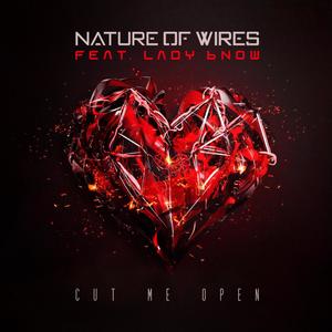 Cut Me Open (feat. Sarah B Lady Bnow)