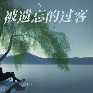 被遗忘的过客