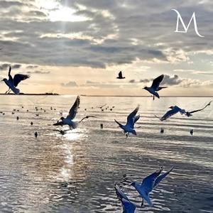 Ο Απόπλους - O Apoplous (feat. Anna Karageorgiadou)