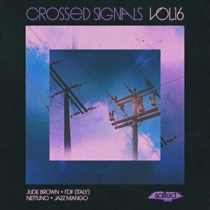 Crossed Signals, Vol. 16