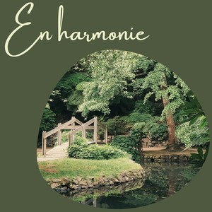 En harmonie - Des chansons new age relaxantes à utiliser comme musique de fond pour vous reposer et vous vider l'esprit