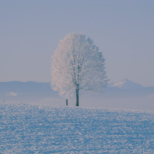 I Will Go to You Like the First Snow - Piano Version