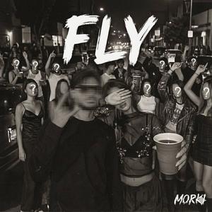 Fly