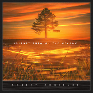 Journey Through the Meadow