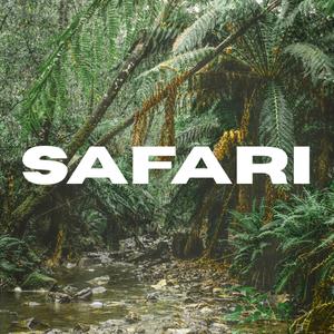 Safari