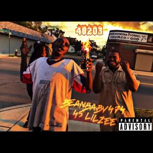 48203 (feat. 45.lilzee & Trapboy3k) [Explicit]