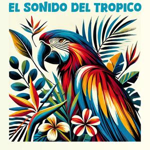 No Me Vayas a Engañar (feat. Ernesto Duarte Y Su Orquesta) (Remastered 2025)