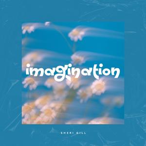 Imagination