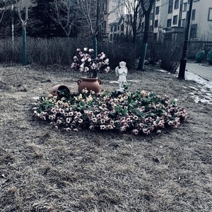 Peter Neiga - 三毛同学-Life Trip (Peter Neiga / Charmy常淇萌 remix)