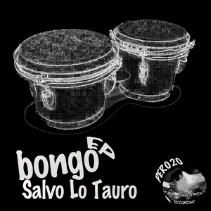 Bongo (Original Mix)