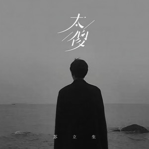太傻 (DJ豪大大版)
