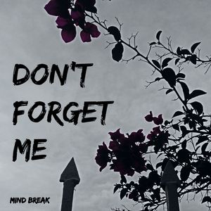 Don't Forget Me