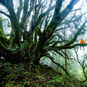 Rain Sprinkle for Sleep(Loopable)