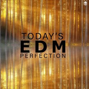 Today's EDM Perfection