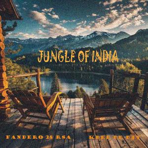 Jungle of India