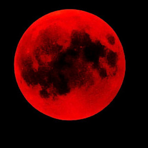 Die for respect (Explicit)