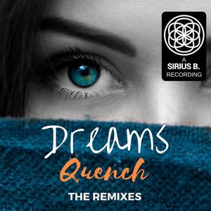 Dreams (Moda Finale Vocal Radio Edit)