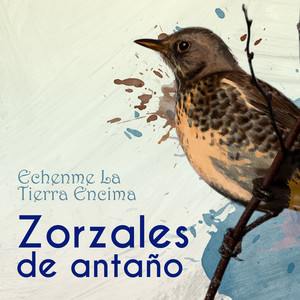 Desengaño