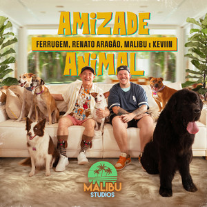 Amizade Animal