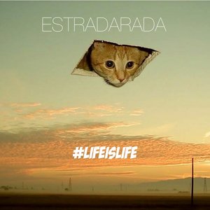 Лайф из лайф (#lifeislife)