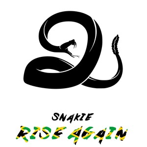 Rise Again