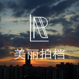 美丽拍档 (RrZ- remix)