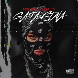 Gata Fina (feat. TobalFlay) (Explicit)