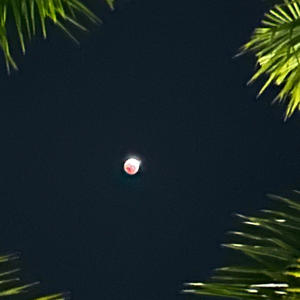 all up to u (feat. Monowokk & $parki) (Remix|Explicit)