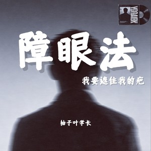 障眼法 (我要遮住我的疤)