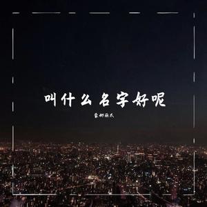 悲伤的重量