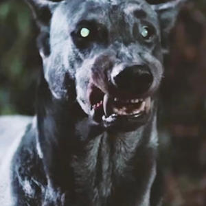 MurdaGang2 (feat. MurdaGang Ocho)