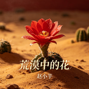 荒漠中的花