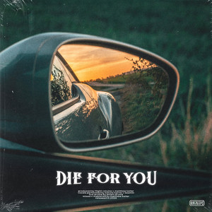 Die For You