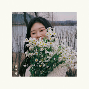 계란꽃 (鸡蛋花)