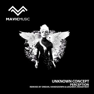 Perception (Handsdown & Leigh Boy Remix)