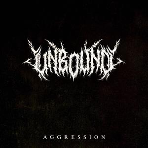 Aggression (Explicit)