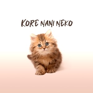 Kore Nani Neko