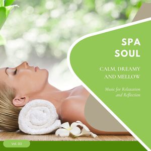 Spa Soul - Calm, Dreamy And Mellow Music For Relaxation And Reflextion, Vol. 03