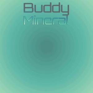 Buddy Mineral