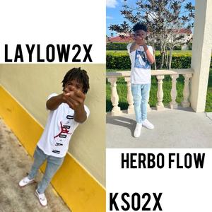 HERBO FLOW (Explicit)